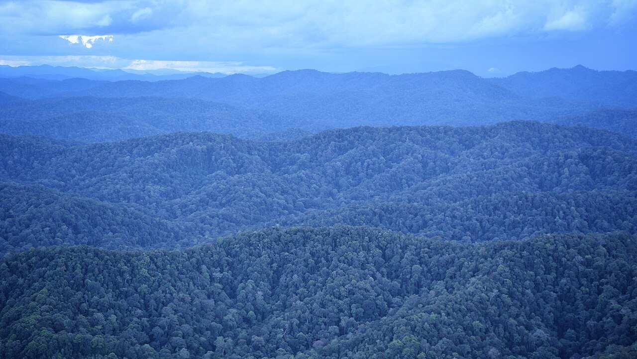 Vu du ciel de la forêt de Betung Kerihun – Sabar Minsyah, CC BY-SA 4.0, via Wikimedia Commons