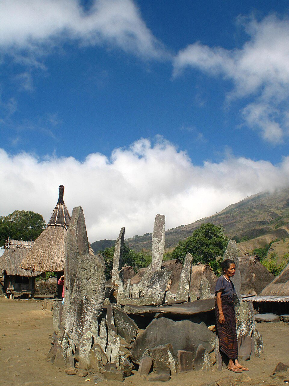 Cimetière mégalitique dans un village Ngada – Mindmaker at English Wikipedia, CC BY-SA 3.0, via Wikimedia Commons