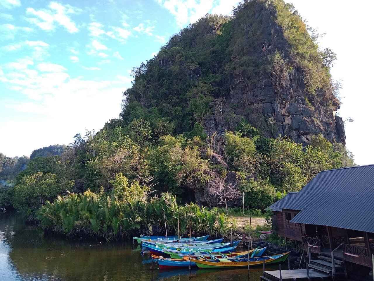 Karst peak at the Rammang-Rammang site – Anhar Karim, CC BY-SA 4.0, via Wikimedia Commons